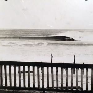 Meet your Posher, Theo